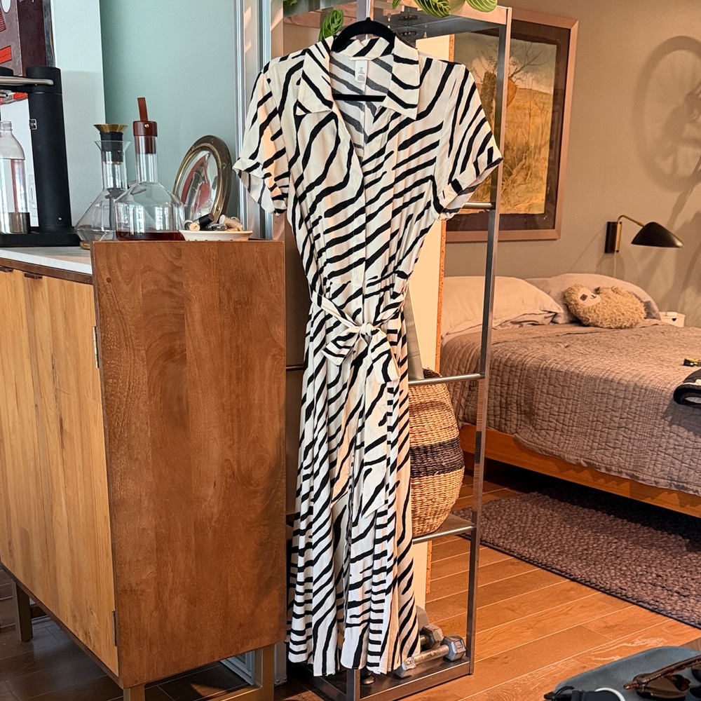 H&M Zebra Print Shirt Dress